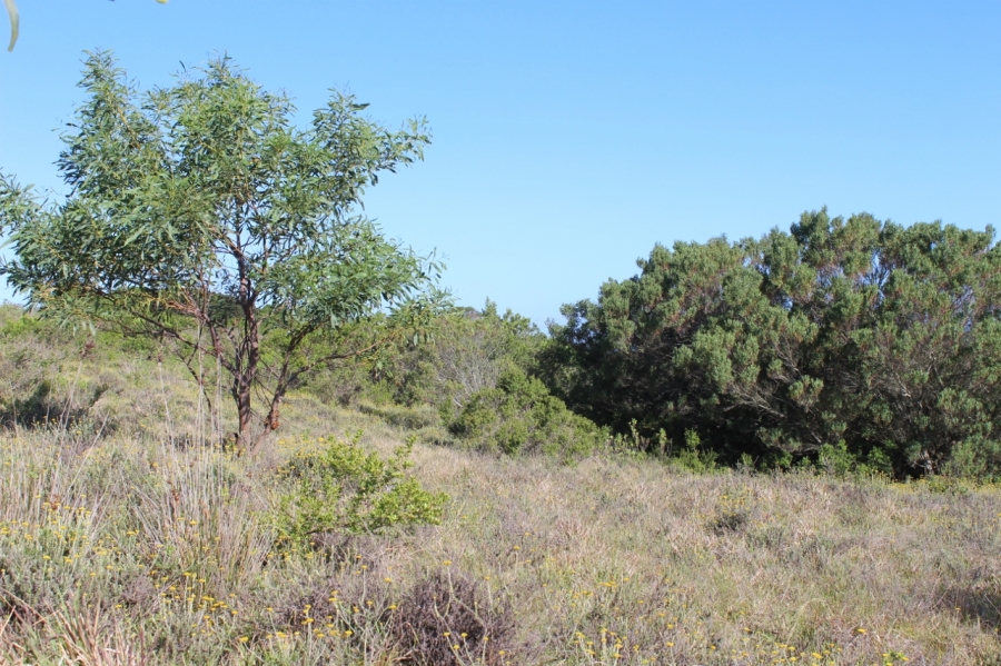 0 Bedroom Property for Sale in Forest Downs Eastern Cape